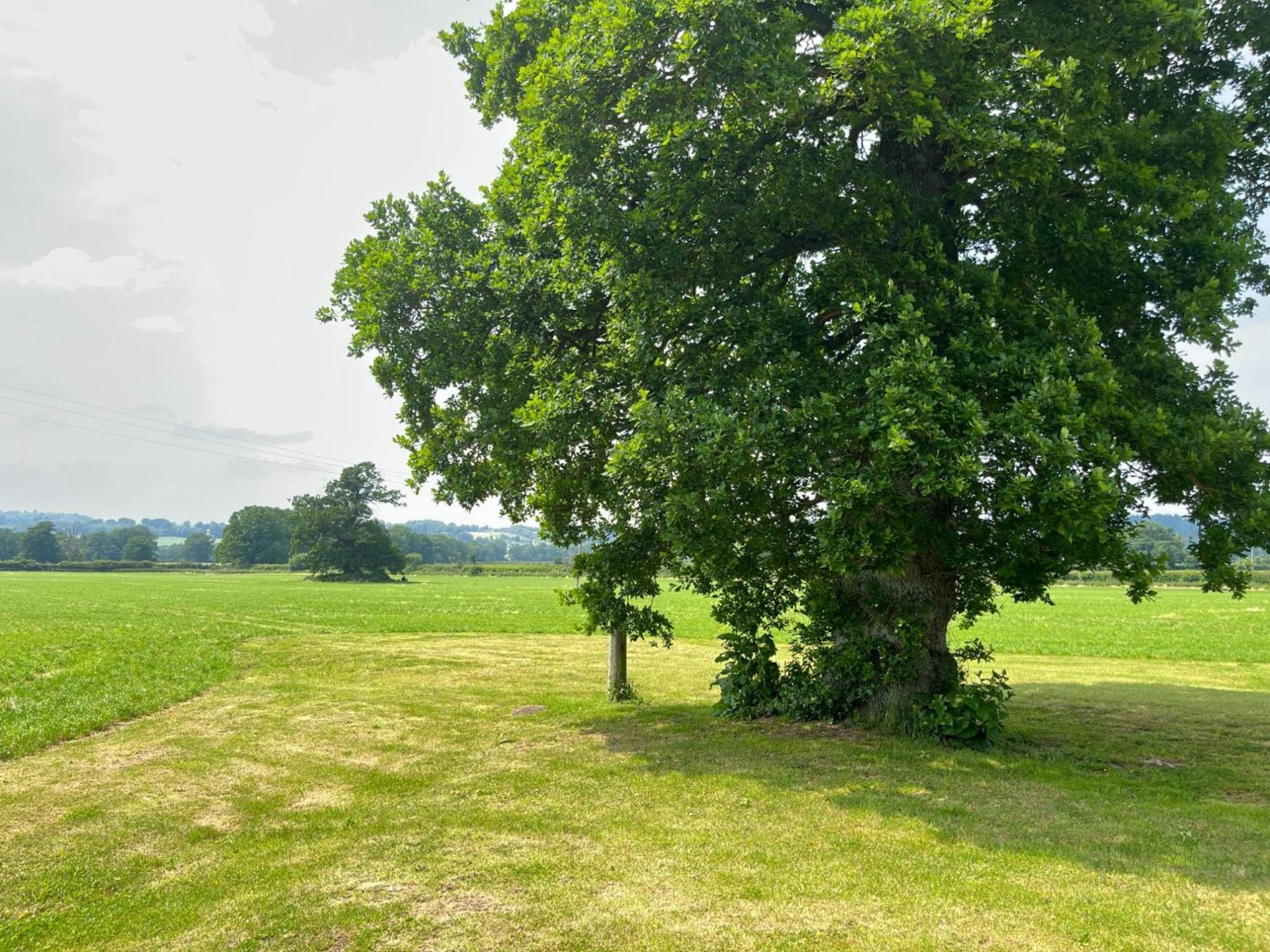 Pass The Keys Hare Cottage Wonderful Views And Parking Moreton-in-Marsh Extérieur photo